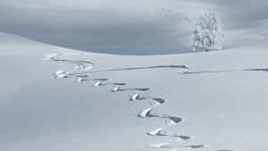 Le tourisme tranquille avec Néméa