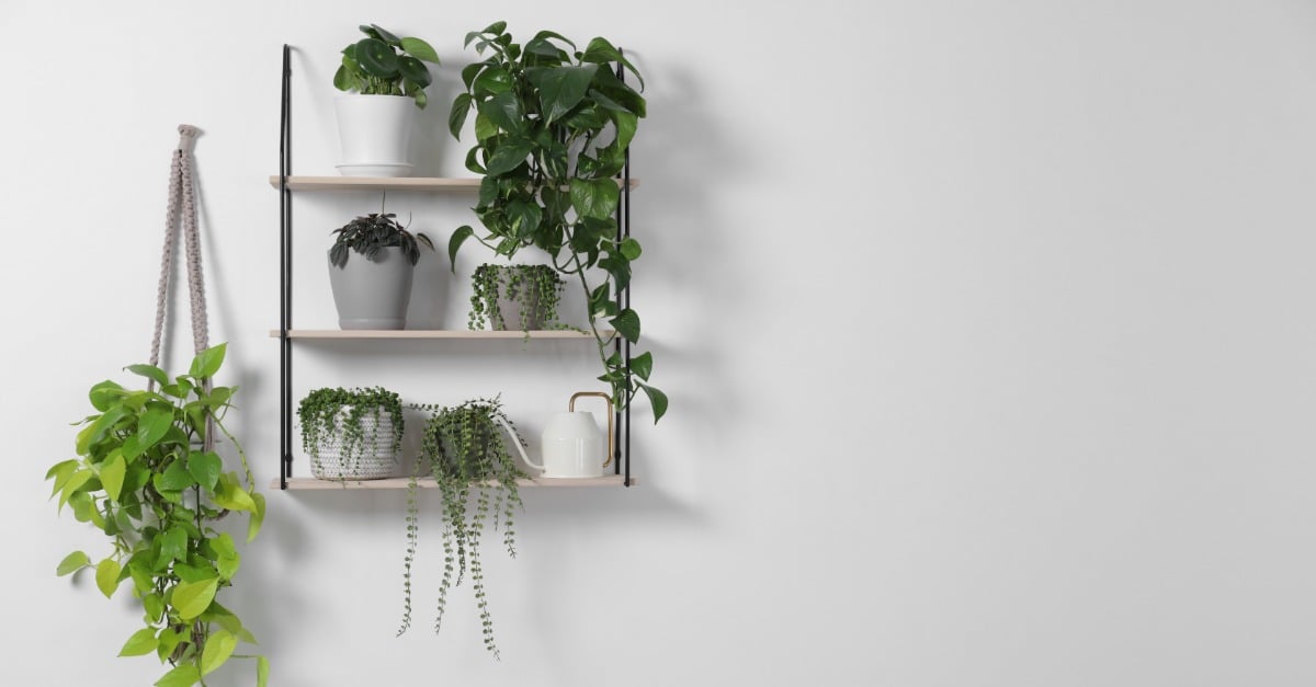 Étagère pour plante : comment choisir cet accessoire pour sublimer sa décoration ?